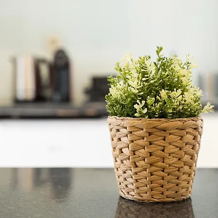 Coreto Garden Apartment