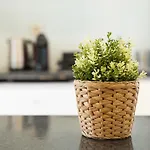 Coreto Garden Apartment